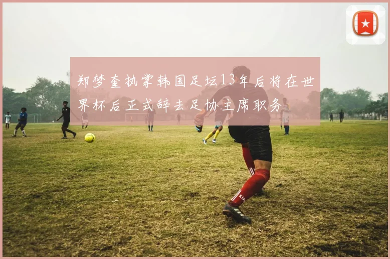 郑梦奎执掌韩国足坛13年后将在世界杯后正式辞去足协主席职务