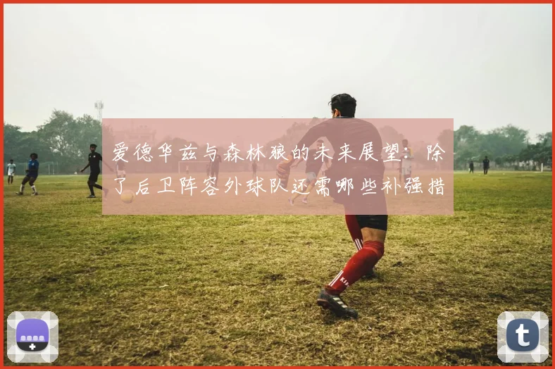 爱德华兹与森林狼的未来展望：除了后卫阵容外球队还需哪些补强措施