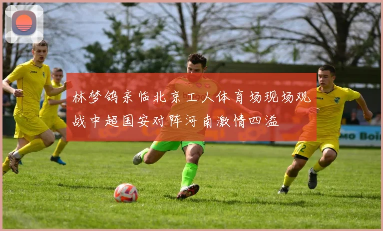 林梦鸽亲临北京工人体育场现场观战中超国安对阵河南激情四溢